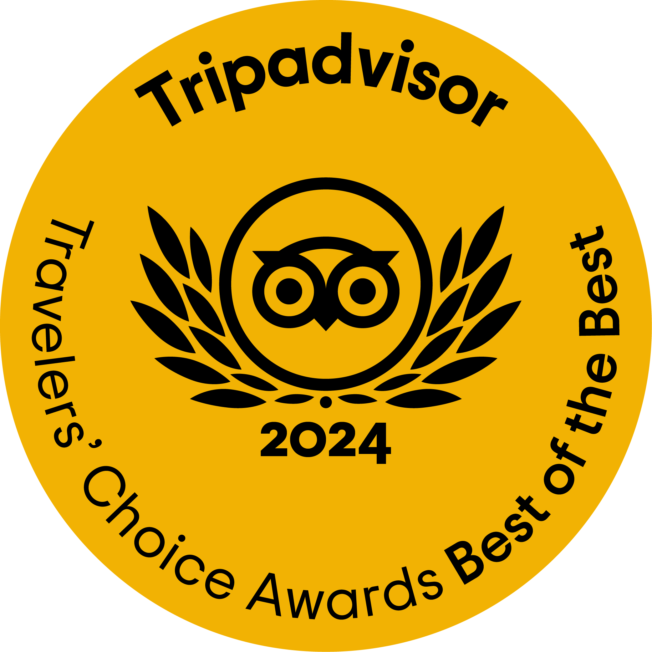 TripAdvisor 2024 Best of the Best