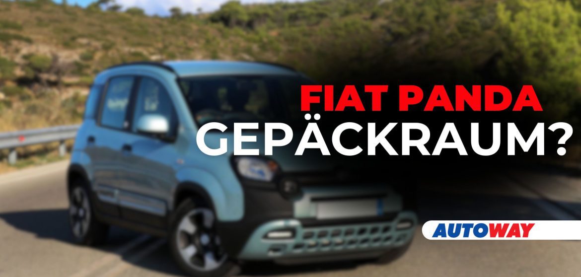 Wie viel Gepäck passt in einen Fiat Panda?