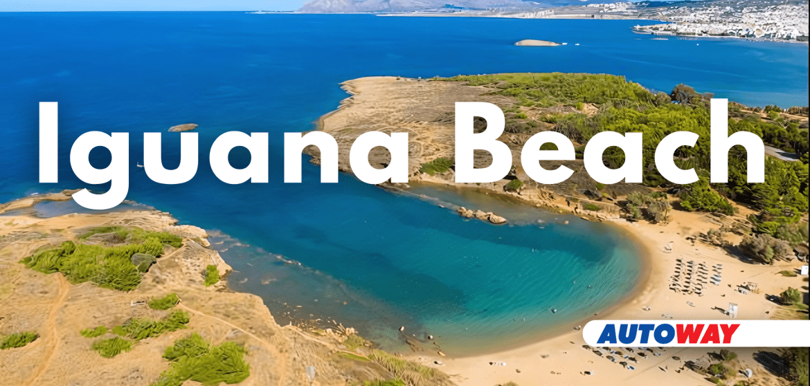 Iguana Beach: Easy Drive for Clear Water